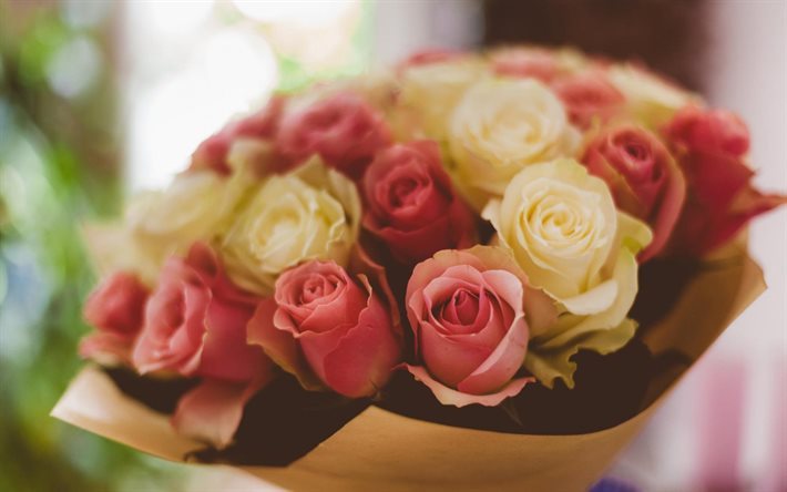 rose, yellow roses, pink roses, a bouquet of roses, bouquet free, roses