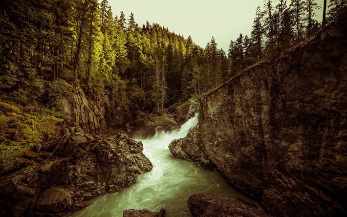 kivi&#228;, stream, kivet, vesiputous, laakso kuuluu, vuori joen, kanada, provincial park