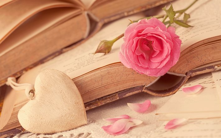 heart, 5K, pink rose, books
