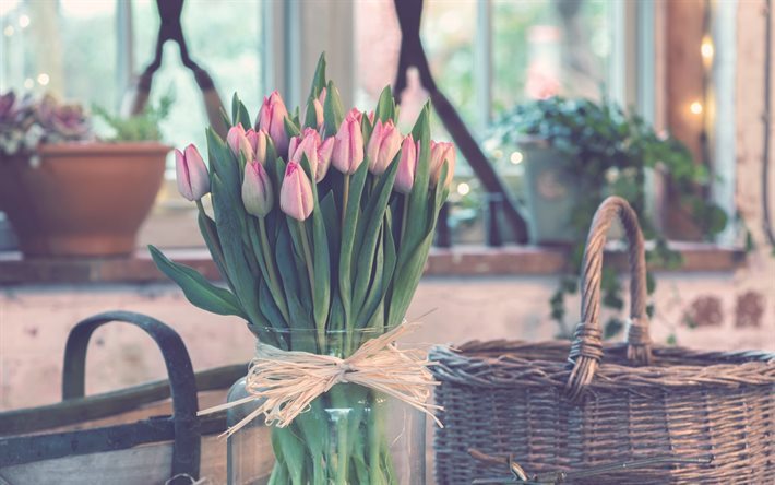 buqu&#234; de tulipas, flores da primavera, tulipas cor-de-rosa, 8 de Mar&#231;o