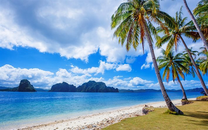 Filipinas, playa, mar, palmeras, &#225;rboles tropicales de la isla, de arena