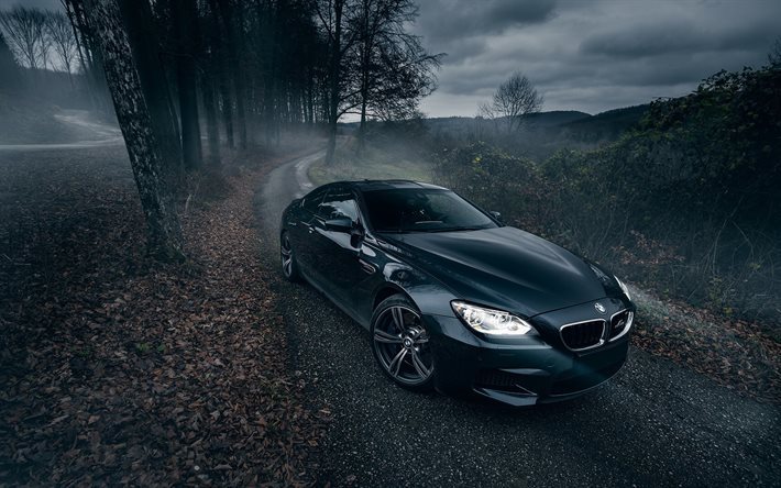 BMW M6, F12, camino forestal, supercars, Serie 6, la oscuridad, los faros, el BMW