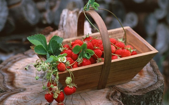 berry, basket, strawberries, stump