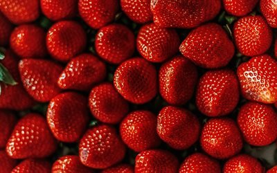 strawberries, top view, berries, background with strawberries, red berries background