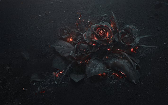 rosas, cinzas, fogo, criativo