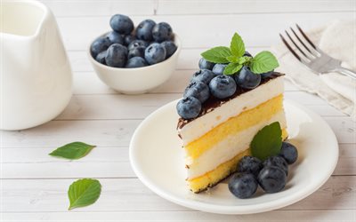 blueberry cake, biscuit cake, sweets, cakes, dessert, cake with berries, blueberries