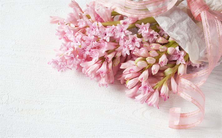 jacinto, Flores da primavera, cor-de-rosa jacinto, flores da primavera