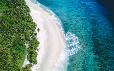 tropical island, view from above, aerial view, ocean, beach, palm trees, sea