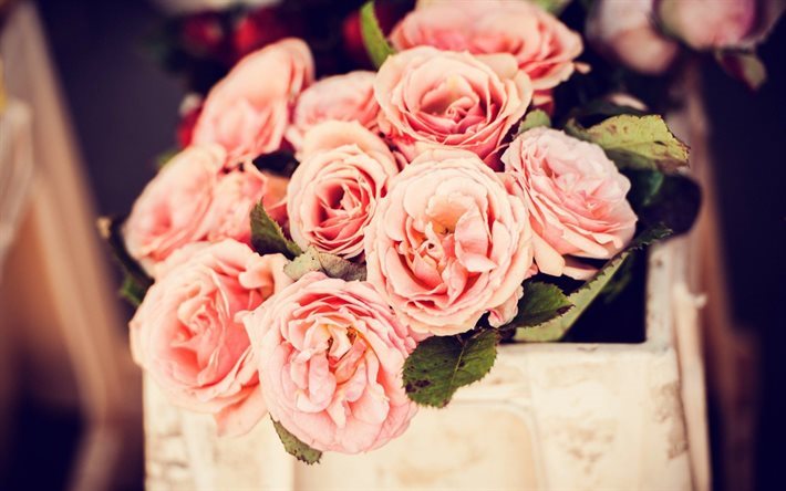 pink roses, effect, beautiful flowers, bouquet, roses