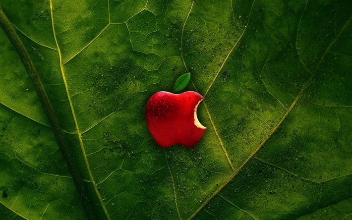 apple, epl, creative, leaf, logo