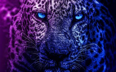abstract leopard, 4k, artwork, blue eyes, predators, abstract animals, leopard