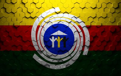 Bandiera di Araguaina, arte a nido d&#39;ape, bandiera di esagoni Araguaina, Araguaina, arte di esagoni 3d, bandiera di Araguaina