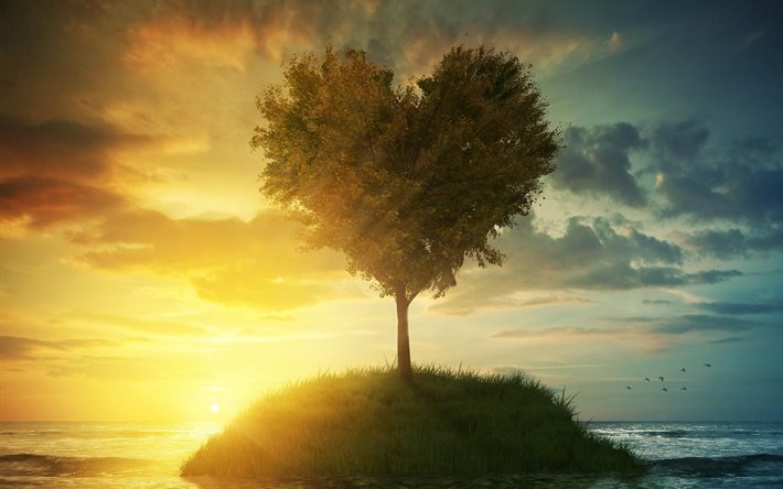 Tree heart, sunset, 3d landscape, 3d tree, island