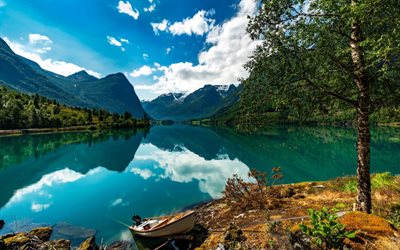 Norway, fjord, beautiful nature, summer vacation, Europe