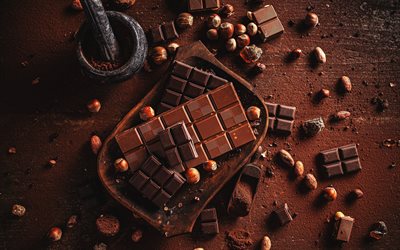 chocolat, noisettes, bonbons, chocolat aux noix, concepts de chocolat, chocolat au lait, chocolat noir