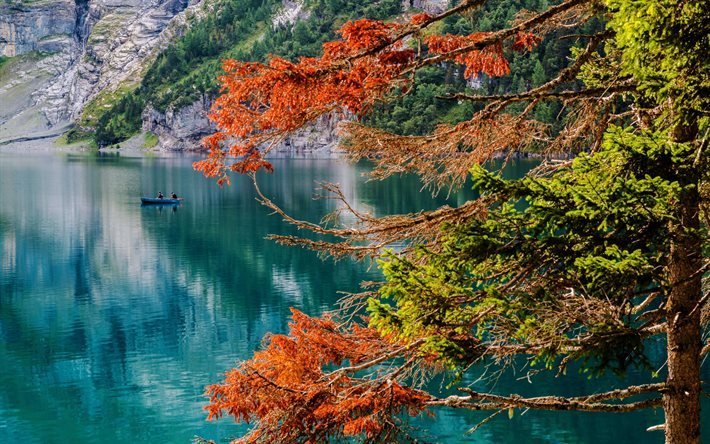 سويسرا, بحيرة Eshinense, بيرنيز, الصيادين