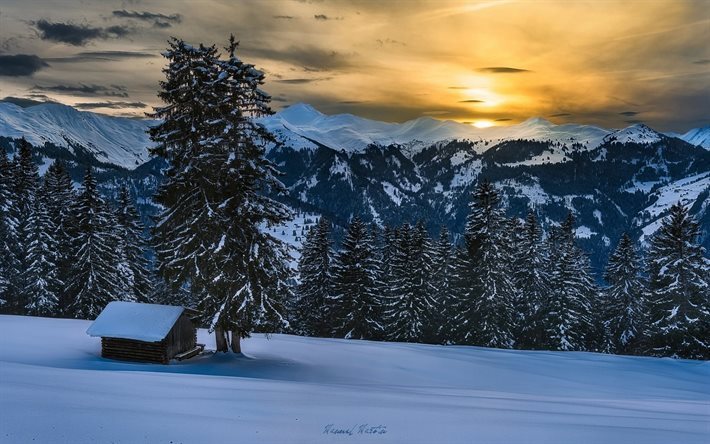 sunset, alpes, l&#39;hiver, montagnes, la neige, arbre