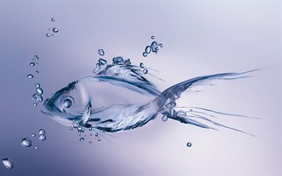 vattenfisk, 4k, kreativ, undervattensv&#228;rld, vattenfigurer, fisk ur vatten, fisk, vattenkonst