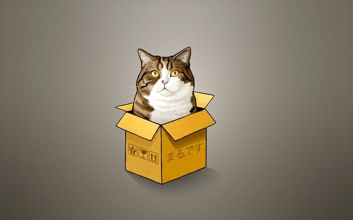 cat, box, minimal, creative