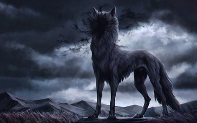 wolf夜, 4k, 敵, ファンタジーウルフ, 野生動物, 暗闇, オオカミ