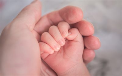 mamma och baby, moderskap, lilla bebis hand, mor och barn, barn koncept, barnet f&#246;delse