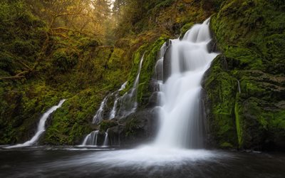 waterfall, forest, Columbia River Gorge, rocks, water, beautiful waterfall, Washington State, USA