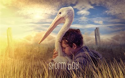 Storm Boy, poster, 2019 movie, Finn Little, Drama, Storm Boy 2019