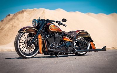 harley-davidson thunderbike, custom motorcycle, luxusmotorrad, hubschrauber, amerikanische motorr&#228;der, harley-davidson