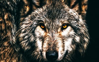 lobo, predador, arte, pintado lobo, animais da floresta, animais selvagens