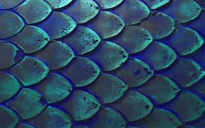 fish scales, 4k, macro, scales textures, 3D textures, background with scales, blue backgrounds, scales