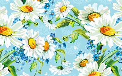 drawn daisies, wildflowers, drawing with flowers, summer, beautiful flowers, daisies, white flowers
