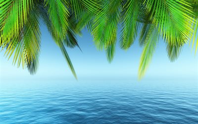 mer, cadre de palmiers, eau bleue, &#233;t&#233;, palmiers, textures de l&#39;eau