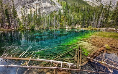 Grassi Lakes, Canadian Rockies, emerald lake, mountain lake, mountain landscape, forest, trees in the water, Alberta, Canada, Canmore Nordic Centre Provincial Park