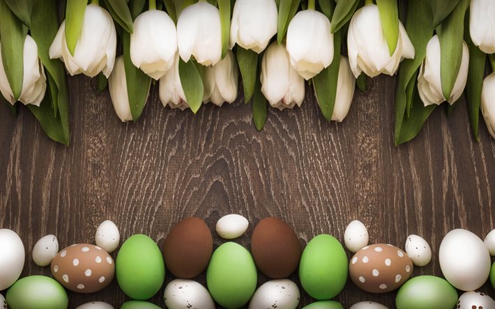 P&#225;scoa, tulipas, ovos de p&#225;scoa, tulipas brancas, madeira de fundo