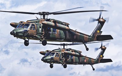 Mitsubishi H-60, two helicopters, Japanese Army, combat aircraft, NATO, Japanese Air Force, attack helicopters, Japan Self-Defense Forces, JSDF, Sikorsky UH-60 Black Hawk