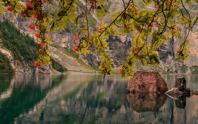 4K, Austria, lago, monta&#241;as, la hermosa naturaleza, los &#225;rboles, Europa, austria naturaleza