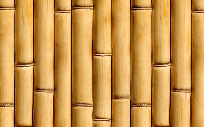 varas de bambu verticais, close-up, troncos de bambu marrons, macro, texturas de bambu, textura de bambu marrom, bengalas de bambu, textura de bambu horizontal, bambu, varas de bambu, varas de bambusoideae