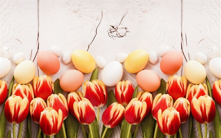 Easter, red tulips, spring, easter decoration