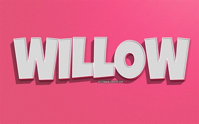 Willow, pink lines background, wallpapers with names, Willow name, female names, Willow greeting card, line art, picture with Willow name