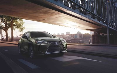 2021, Lexus UX, front view, exterior, new green UX, compact crossover, japanese cars, Lexus