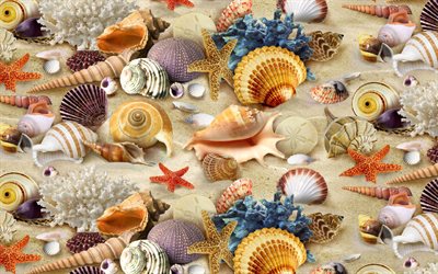 3d seashells, 4k, background with seashells, seashells textures, shells, shells textures, seashells, background with shells