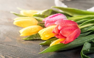ramo de tulipanes, flores de primavera, tulipanes, tulipanes amarillos, tulipanes rojos, fondo con tulipanes