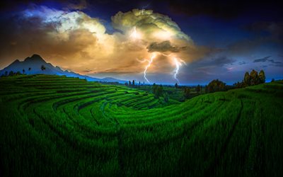 Indonesia, 4k, los campos de arroz, tormenta de truenos, los rel&#225;mpagos, las colinas, Asia, la hermosa naturaleza