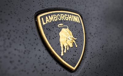 Lamborginiロゴ, 4k, 車ブランド, ウ, イタリア車, Lamborgini