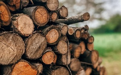 mountain of firewood, log, mountain log, cut trees, deforestation, logs