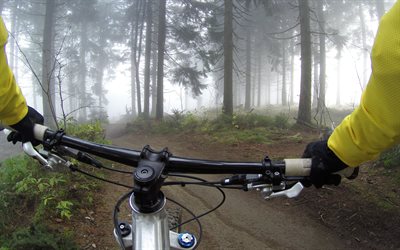 mountain bike, cycling through the forest, bicycle handlebars, forest, fog, cycling