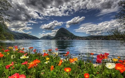 Switzerland, poppies, mountains, lake, coast, HDR, summer