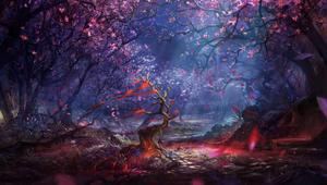 A peaceful night shrouded in mystery
