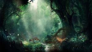 Take a journey through a Magical Fantasy Forest