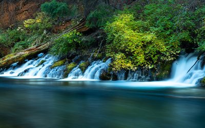 Metolius Nehri, 4k, yaz, şelaleler, orman, Oregon, ABD, g&#252;zel doğa, Amerika